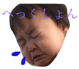 76744578