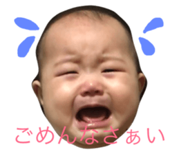 76744580