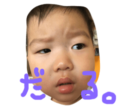 76745036
