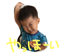 76745039