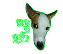 767451750