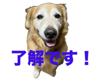 767457844