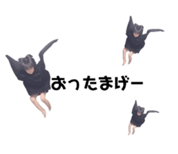 767467714