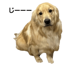767471239
