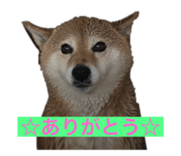 767484809