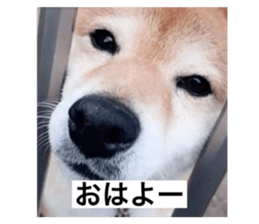767484826