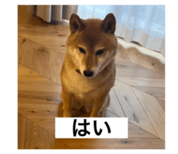 767484829