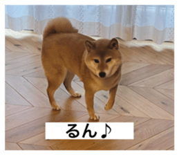 767484832