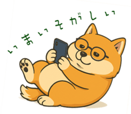 767493022