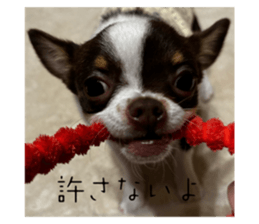 767494661