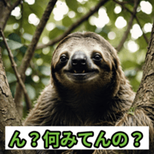 767530446