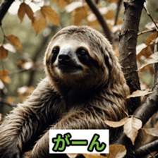 767530447