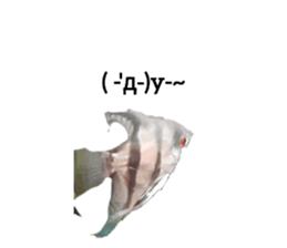 767534855