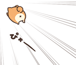 767539387
