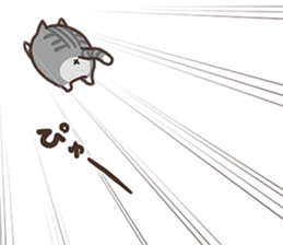 767539507