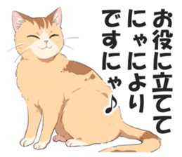 767548248