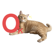 767556225