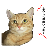 767556233