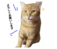 767556234