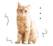 767556244