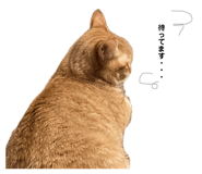 767556254