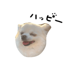 767561445