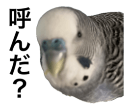 767566984