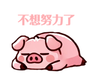 767573104