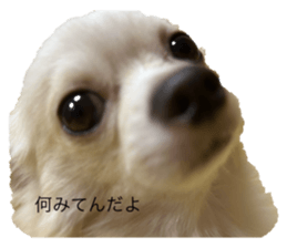 767577683
