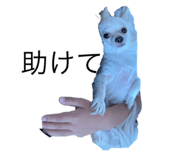 767577687