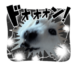 767577795