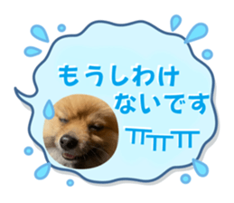 767578031