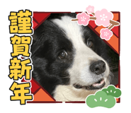 767579468