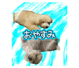 767584947