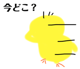 767586906