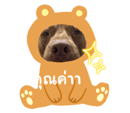767597037