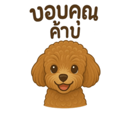 767613706