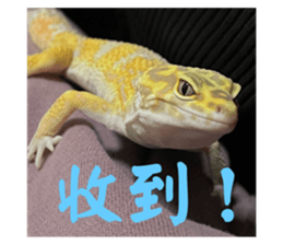 767621188