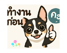 767623110