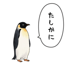 767624228