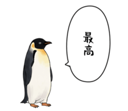 767624234