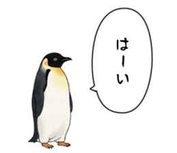 767624235