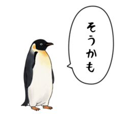 767624237