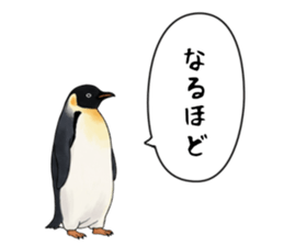 767624238
