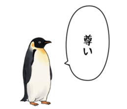 767624242
