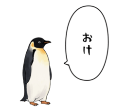 767624245