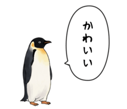 767624246
