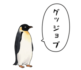 767624254