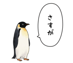 767624255