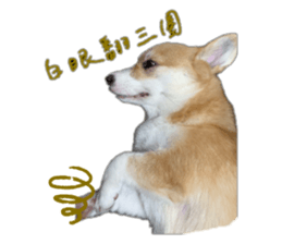 767626870